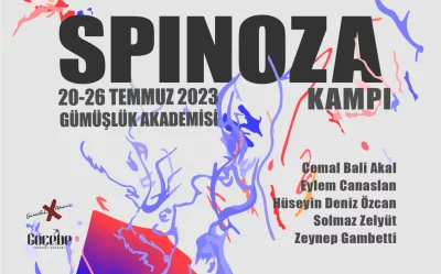 spinozagümüşlük web 1